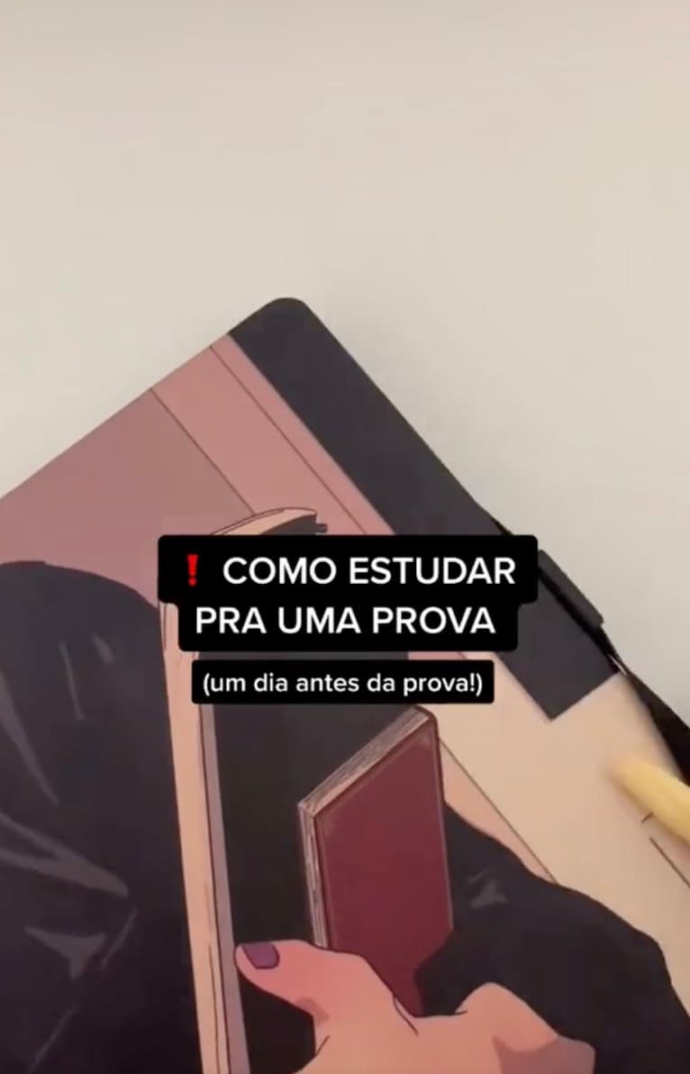 NÃO faça resumos! (TikTok)